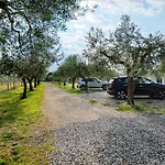 Bardolivo - Adults Only Bardolino